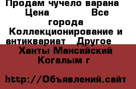 Продам чучело варана. › Цена ­ 15 000 - Все города Коллекционирование и антиквариат » Другое   . Ханты-Мансийский,Когалым г.